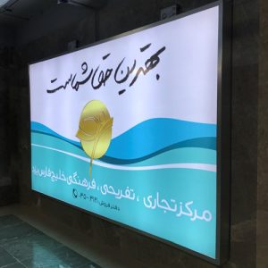 فلکسی