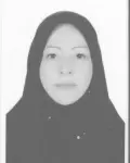 دانشگاه آزاد اسلامی واحد تهران جنوب